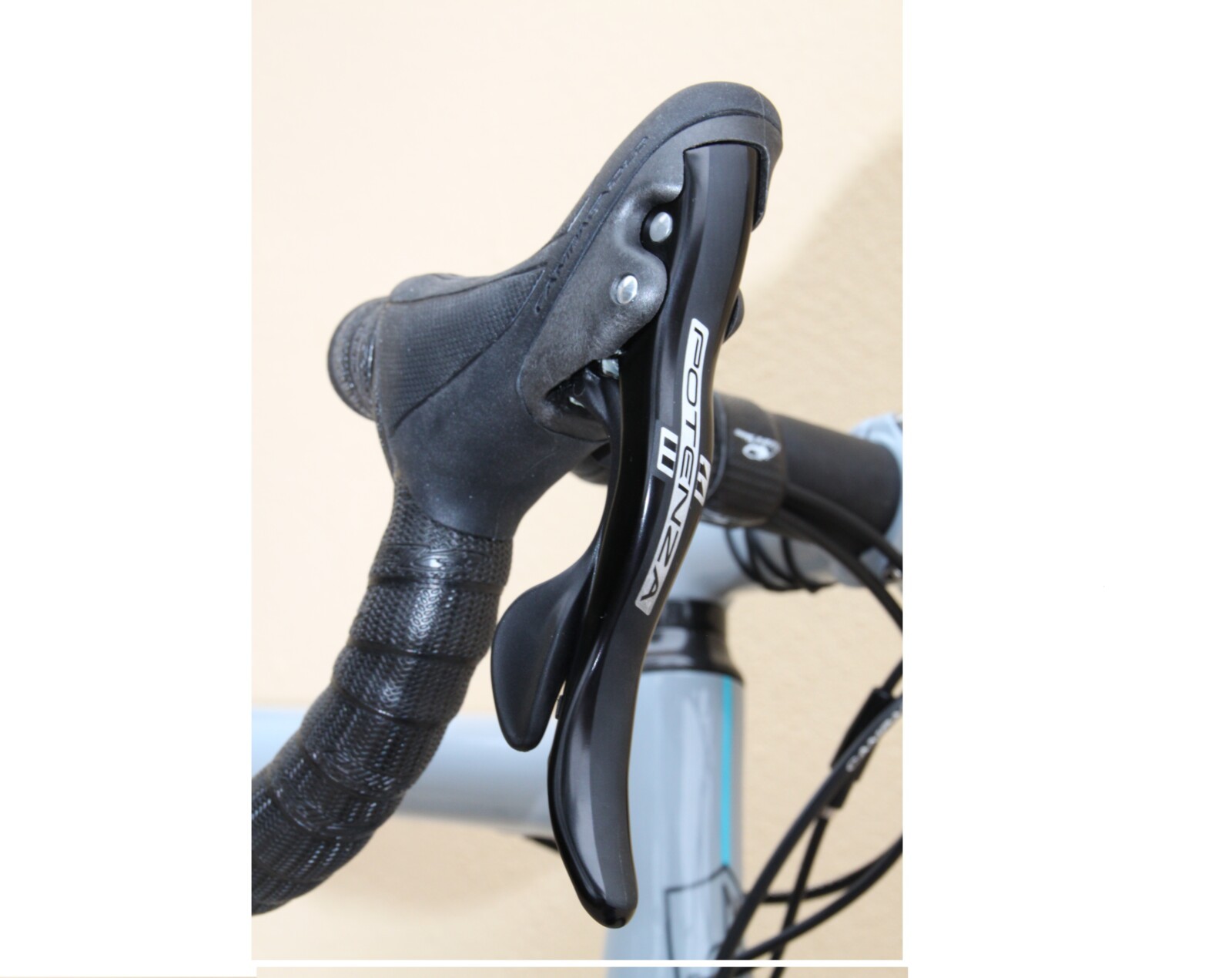 Wild sheep are not hard to dodge on the gruellingly steep climb from Astern to the Mynd.